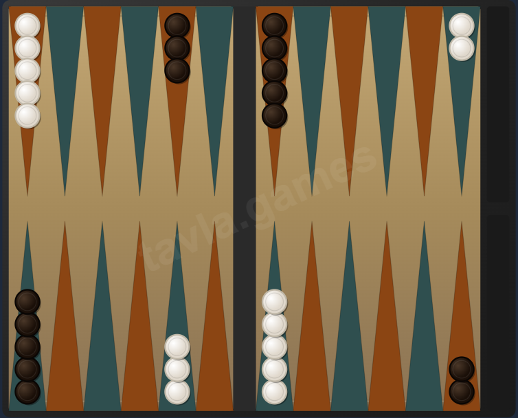 Backgammon board setup showing starting checker positions for both players